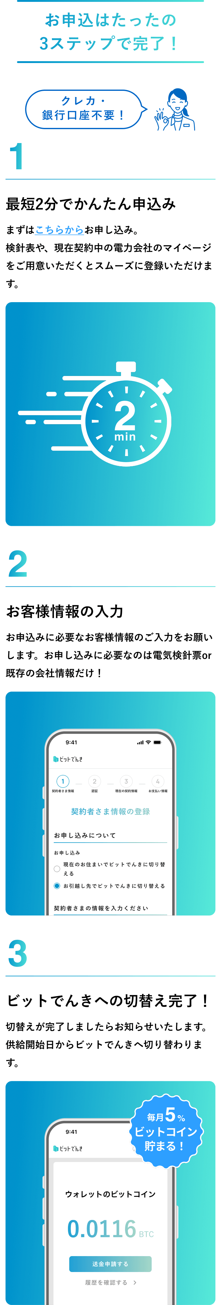 ビットでんき SP 申込ステップ