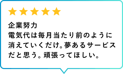 利用者レビュー 企業努力 電気代は毎月当たり前のように消えていくだけ。夢あるサービスだと思う。頑張ってほしい。